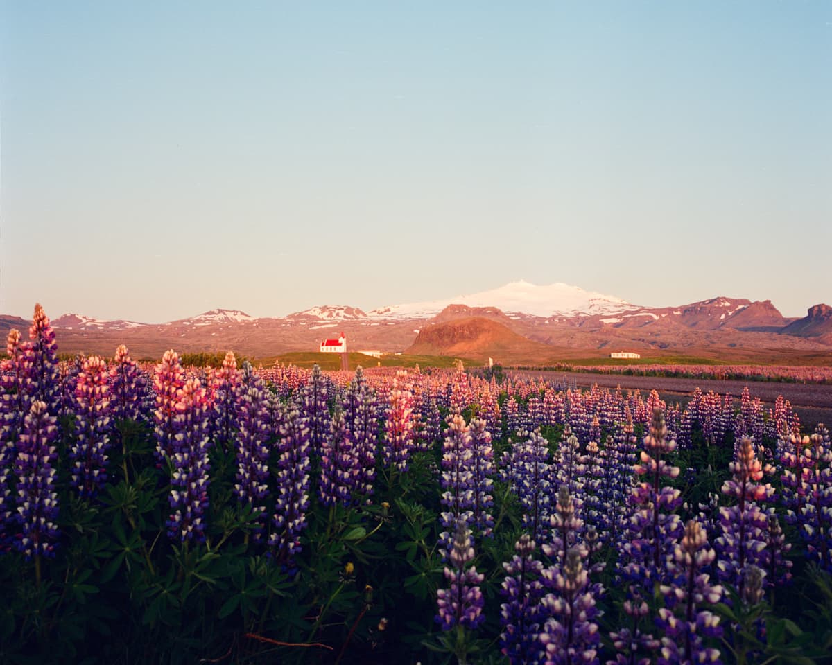 Hero landscape — colorblindexposures